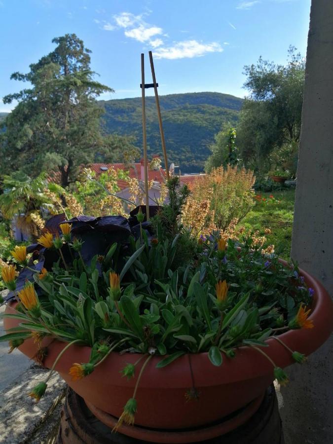 Pet Friendly Apartments Licul Rabac Exterior foto